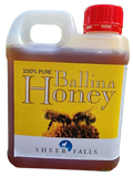 Pure Raw Ballina Honey small jerry can 1kg-1.5kg